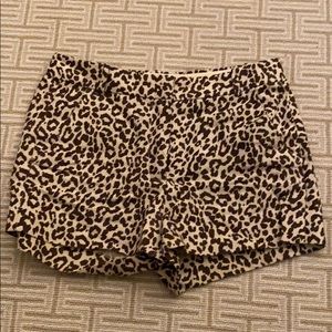J crew shorts